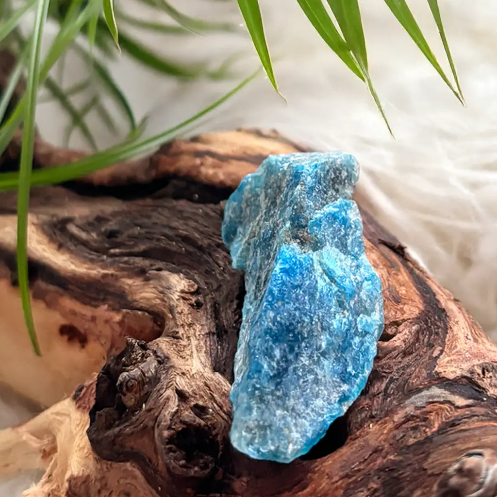 Nahaufnahme eines blauen Apatit Rohsteins – unbehandelter Kraftstein mit roher Oberfläche und markanter Struktur für energetische Anwendungen