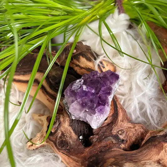 Amethyst Druse auf Holz mit kräftiger violetter Farbe – natürlicher Kraftstein für Schutz, Reinigung und spirituelle Klarheit.