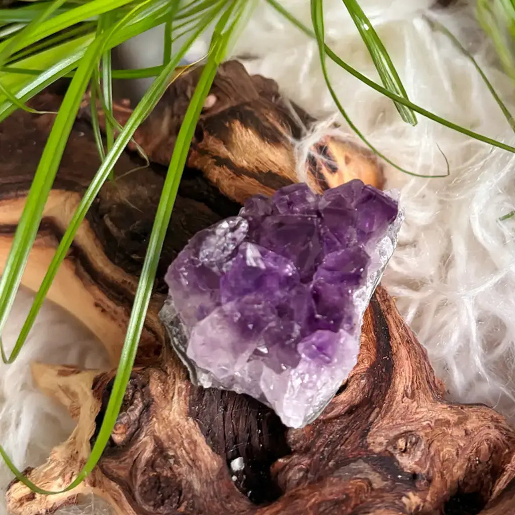 Vergrößerte Darstellung der Amethyst Druse auf Holz  – natürlicher Kraftstein mit beruhigender Wirkung.