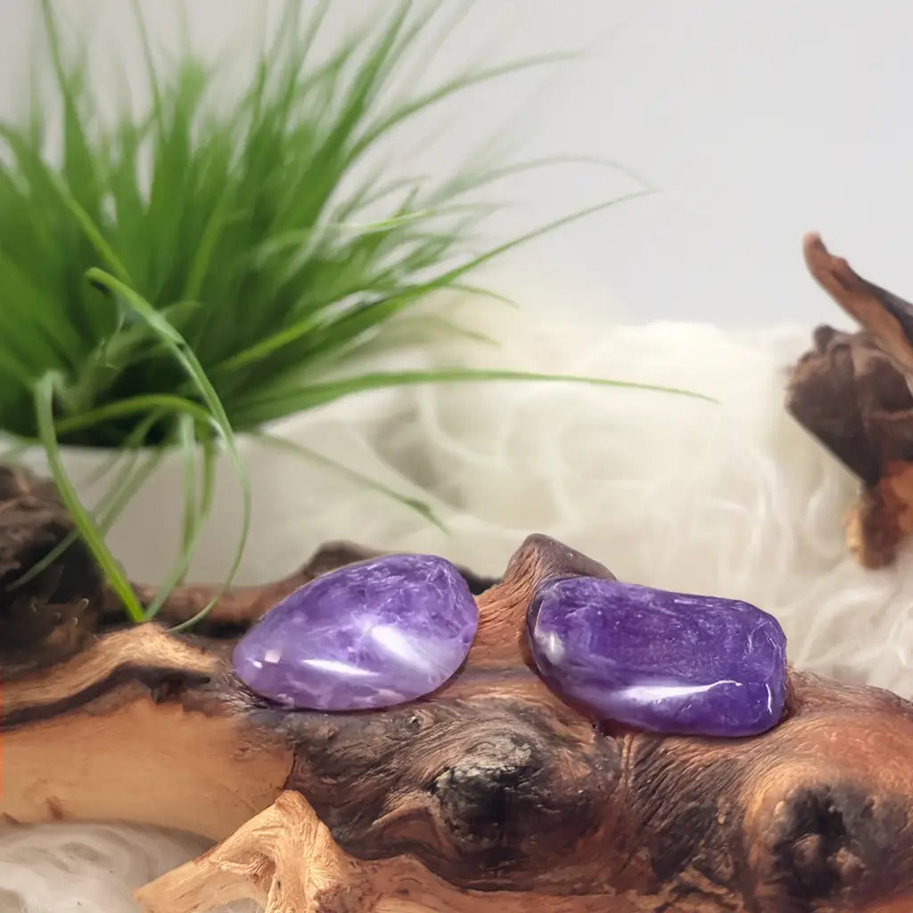 Zwei glatte Amethyst Trommelsteine auf Holz – violette Kraftsteine für innere Klarheit, spirituelle Stärke und positive Energie