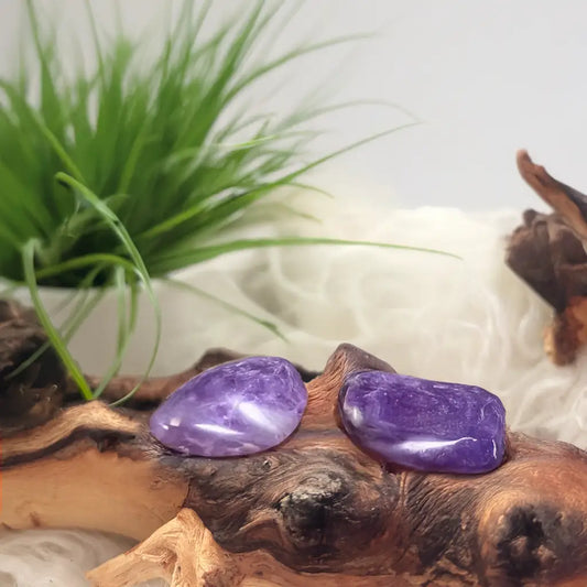 Zwei glatte Amethyst Trommelsteine auf Holz – violette Kraftsteine für innere Klarheit, spirituelle Stärke und positive Energie