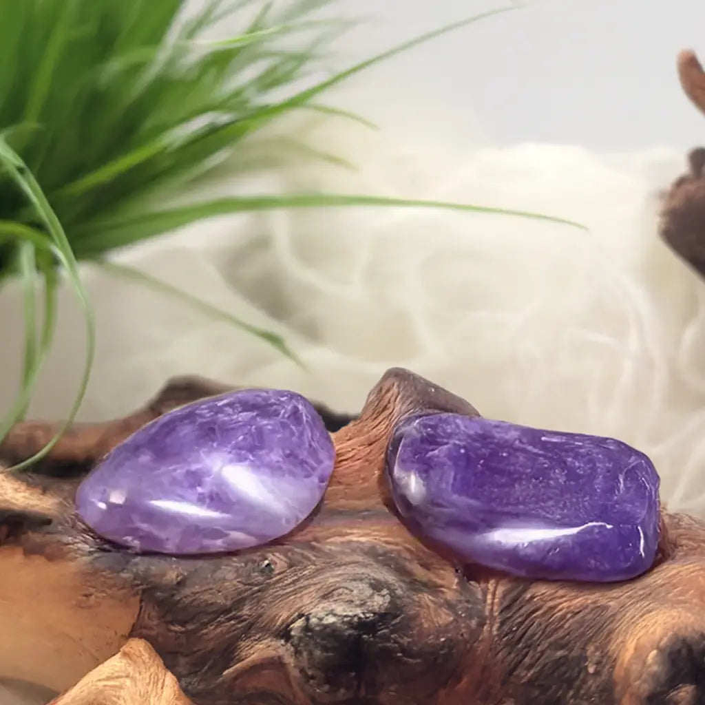 Detailaufnahme von zwei glatten Amethyst Trommelsteinen für Klarheit & Energie.