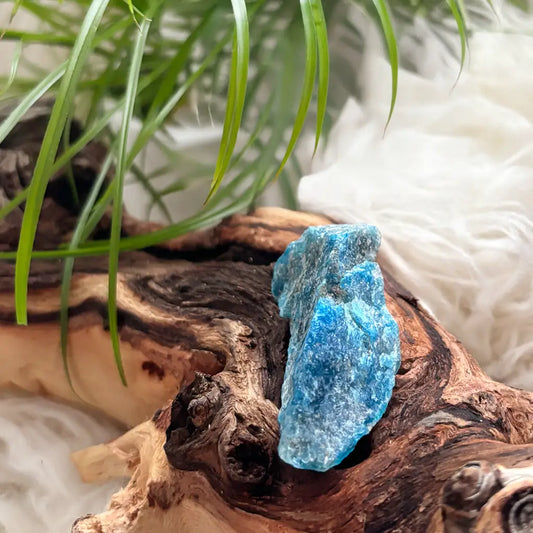 Blauer Apatit Rohstein auf Holz – naturbelassener Apatit Kraftstein zur Stärkung von Klarheit, Energie und innerer Ausrichtung
