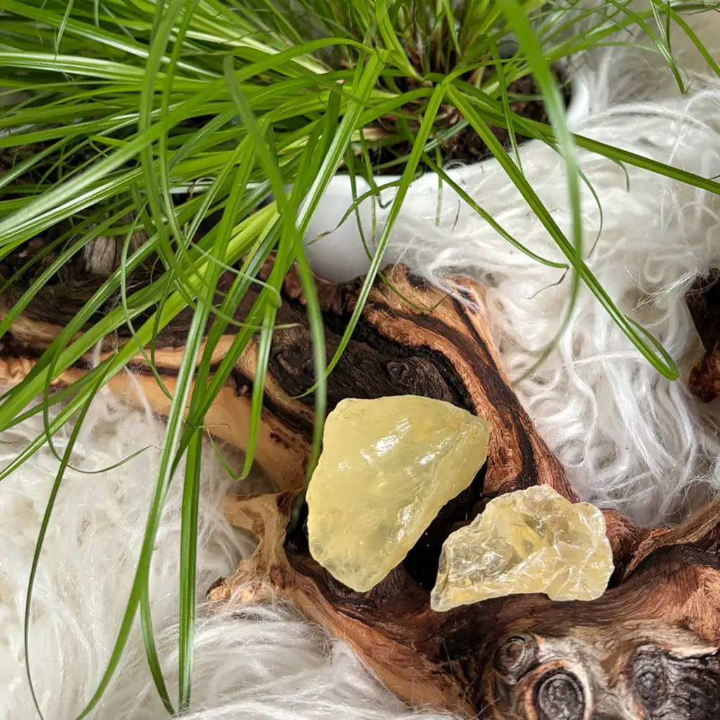 Zwei Citrin Rohsteine – naturbelassene Citrin Kraftsteine für Energie, Klarheit und positive Schwingung im Alltag