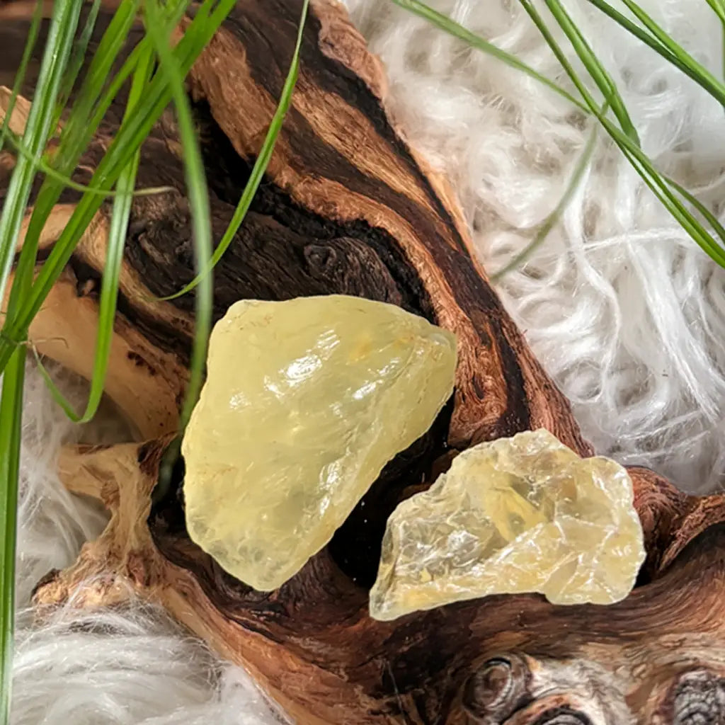Detailansicht zweier naturbelassener Citrin Rohsteine auf Holz – klare Struktur und warmer, goldgelber Glanz