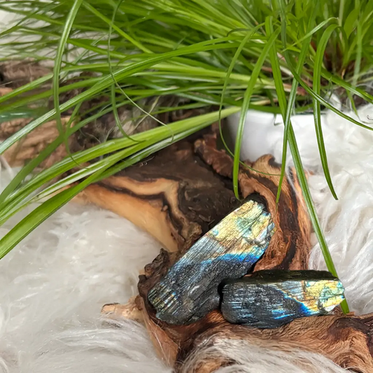 Zwei Labradorit Rohsteine mit irisierendem Schimmer – kraftvolle Natursteine für Energiearbeit, Schutz und Transformation
