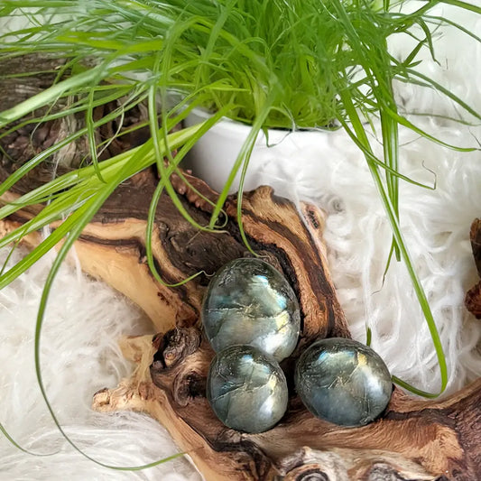 Drei Labradorit Trommelsteine mit blauem Schimmer – kraftvolle Heilsteine für Intuition, Schutz und spirituelle Balance