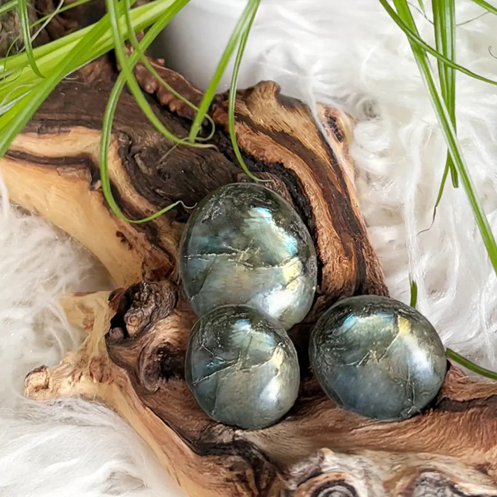 Detailansicht von drei schimmernden Labradorit Trommelsteinen auf Holz mit grünlich-blauem Glanz, ideal als Kraftsteine oder zur Meditation