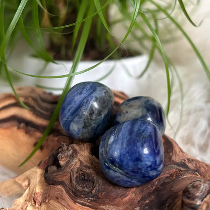 Sodalith Trommelsteine – Selbstbewusstsein & Balance