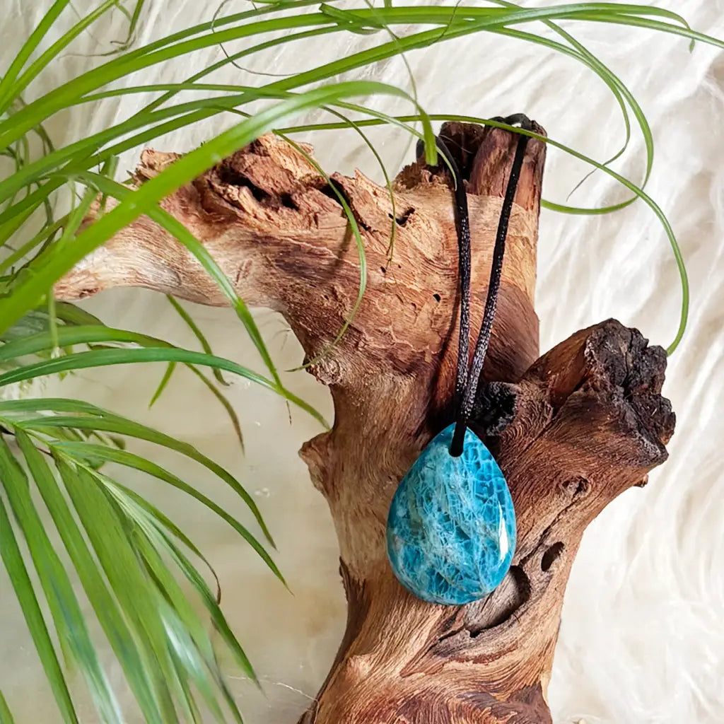 Apatit Tropfen Anhänger mit schwarzem Band – eleganter Apatit Schmuck für Klarheit, Inspiration und emotionale Balance