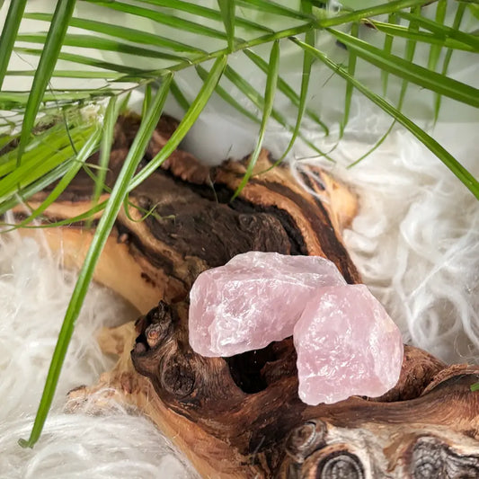 Zwei zartrosafarbene Rosenquarz-Rohsteine ruhen auf naturbelassenem Holz, eingebettet in weiche, helle Fasern und umgeben von sanften Palmblättern – ein harmonisches Arrangement zur Förderung von Herzenergie, innerem Frieden und spiritueller Balance