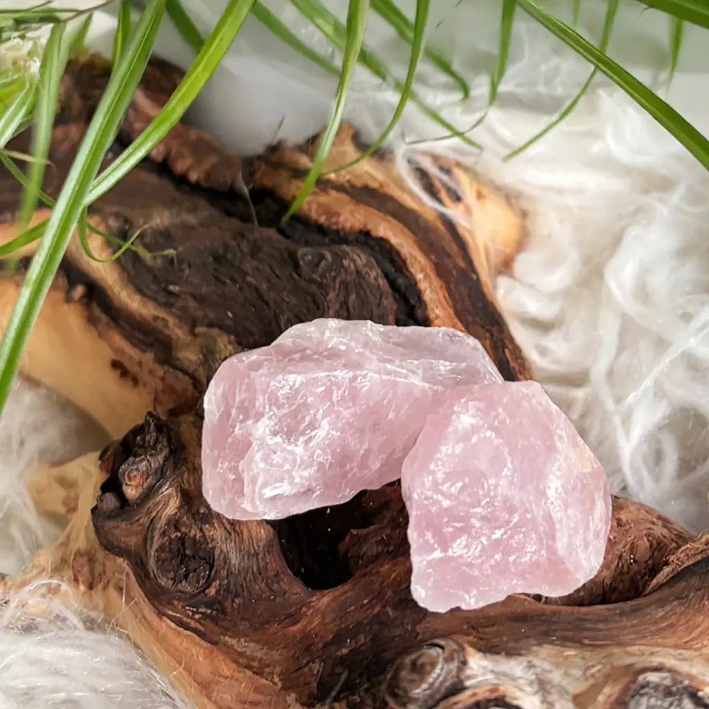 Zwei zartrosafarbene Rosenquarz-Rohsteine ruhen auf naturbelassenem Holz, eingebettet in weiche, helle Fasern und umgeben von sanften Palmblättern – ein harmonisches Arrangement zur Förderung von Herzenergie, innerem Frieden und spiritueller Balance